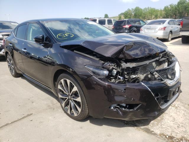 Photo 0 VIN: 1N4AA6AP2GC381848 - NISSAN MAXIMA 3.5 