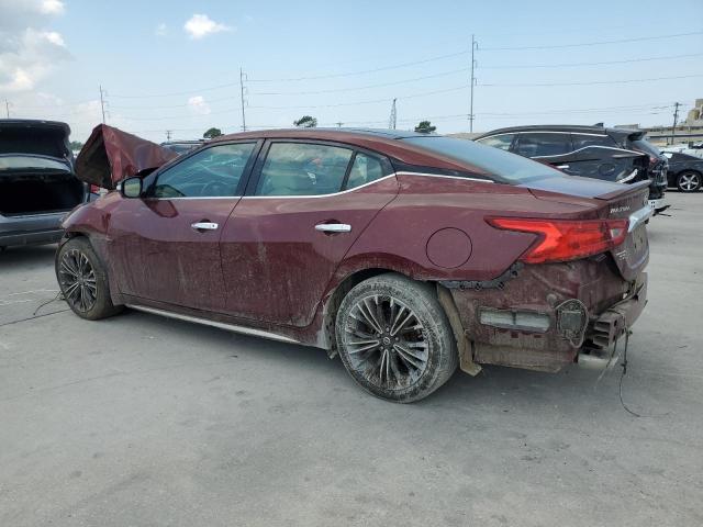 Photo 1 VIN: 1N4AA6AP2GC382613 - NISSAN MAXIMA 3.5 