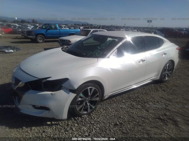 Photo 1 VIN: 1N4AA6AP2GC397967 - NISSAN MAXIMA 