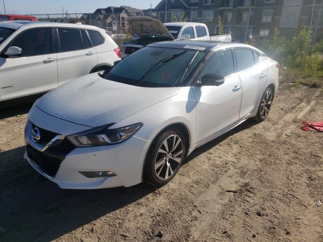 Photo 1 VIN: 1N4AA6AP2GC400303 - NISSAN MAXIMA 3.5 