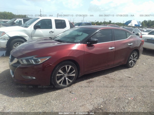 Photo 1 VIN: 1N4AA6AP2GC407249 - NISSAN MAXIMA 