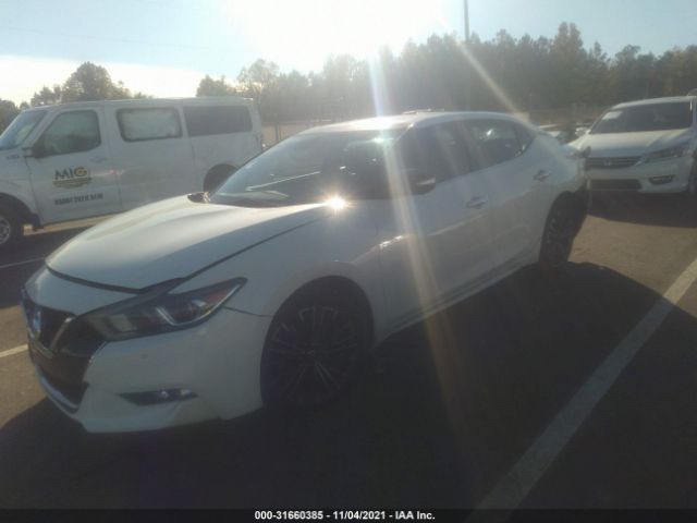 Photo 1 VIN: 1N4AA6AP2GC416033 - NISSAN MAXIMA 