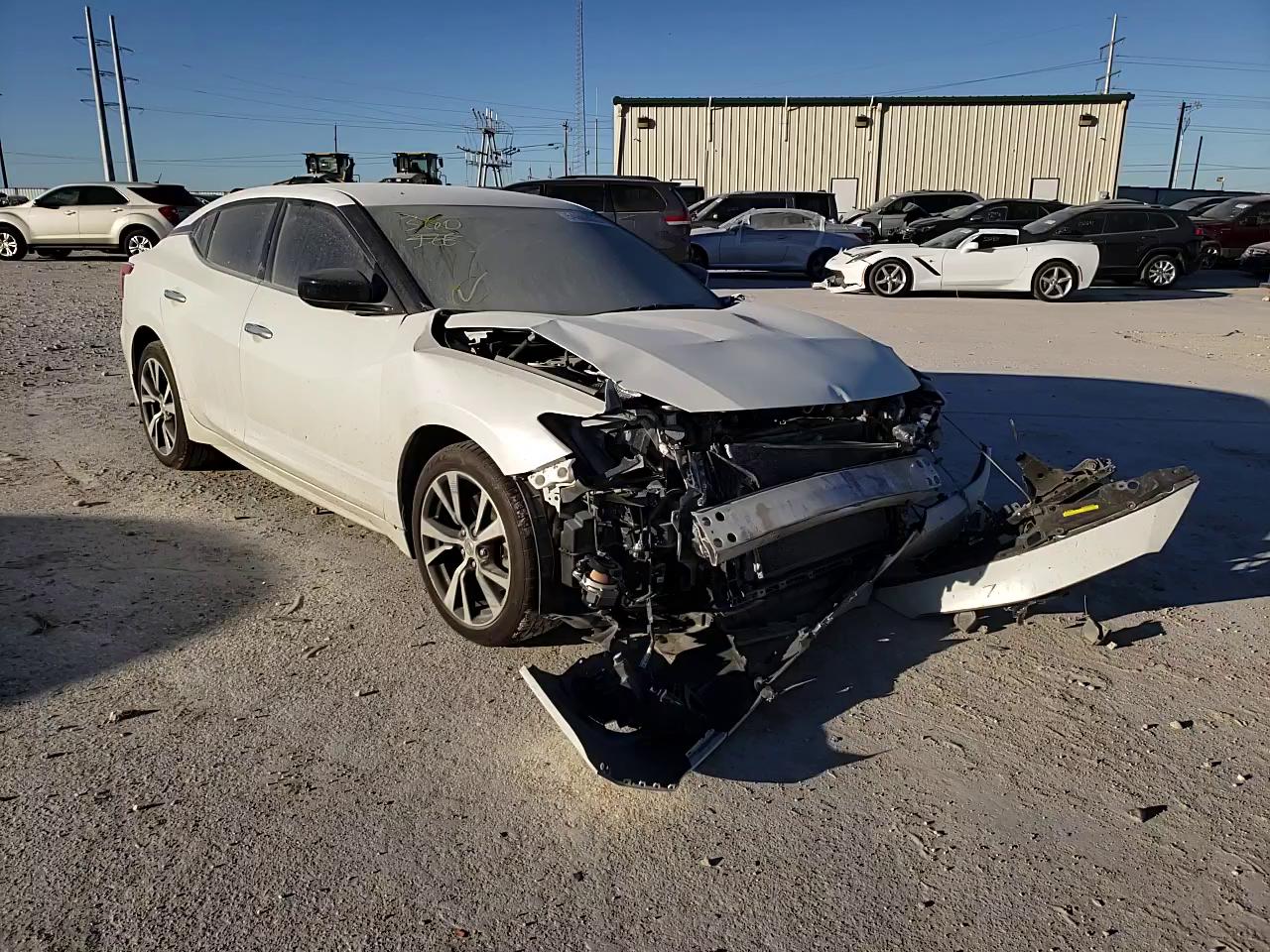 Photo 10 VIN: 1N4AA6AP2GC429185 - NISSAN MAXIMA 3.5 