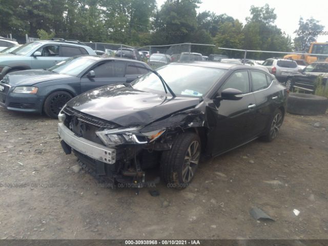 Photo 1 VIN: 1N4AA6AP2GC436704 - NISSAN MAXIMA 