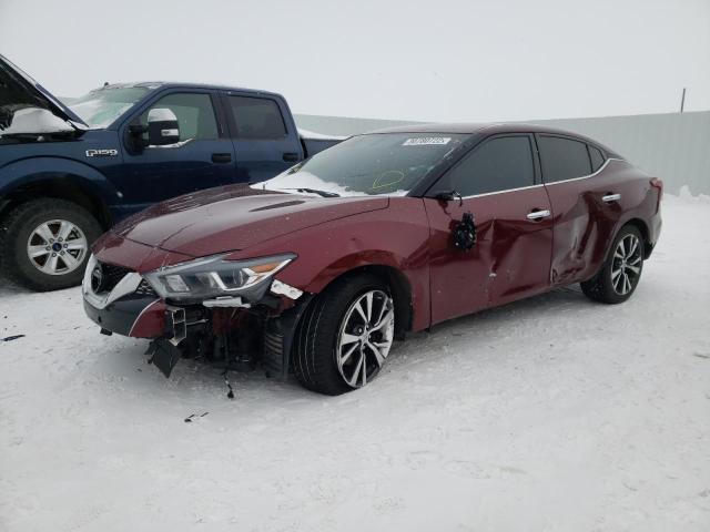 Photo 1 VIN: 1N4AA6AP2GC442910 - NISSAN MAXIMA 