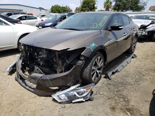 Photo 1 VIN: 1N4AA6AP2GC447606 - NISSAN MAXIMA 3.5 