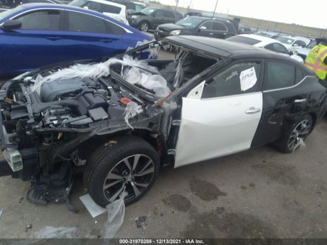 Photo 1 VIN: 1N4AA6AP2GC448304 - NISSAN MAXIMA 