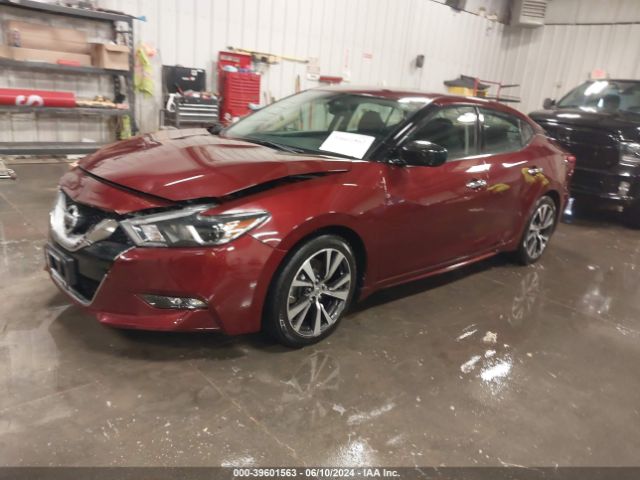 Photo 1 VIN: 1N4AA6AP2GC903300 - NISSAN MAXIMA 