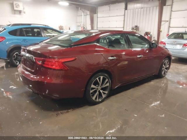 Photo 3 VIN: 1N4AA6AP2GC903300 - NISSAN MAXIMA 