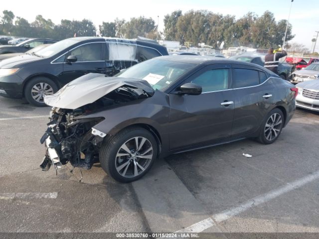 Photo 1 VIN: 1N4AA6AP2GC907315 - NISSAN MAXIMA 