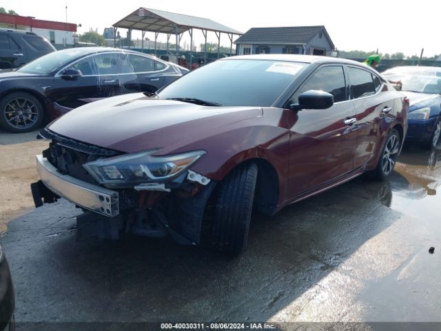 Photo 1 VIN: 1N4AA6AP2HC376652 - NISSAN MAXIMA 