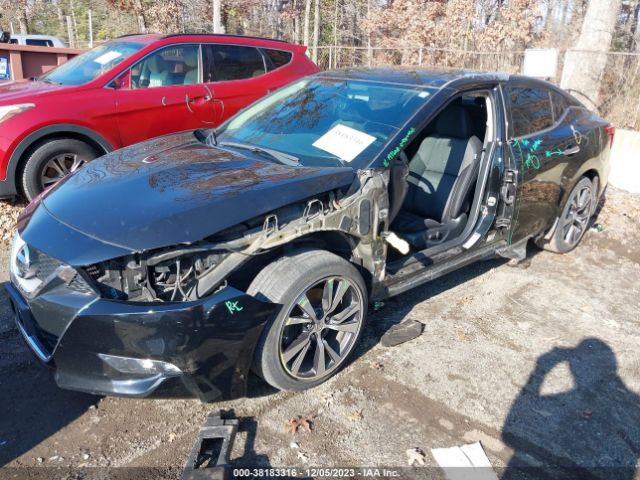 Photo 1 VIN: 1N4AA6AP2HC402893 - NISSAN MAXIMA 