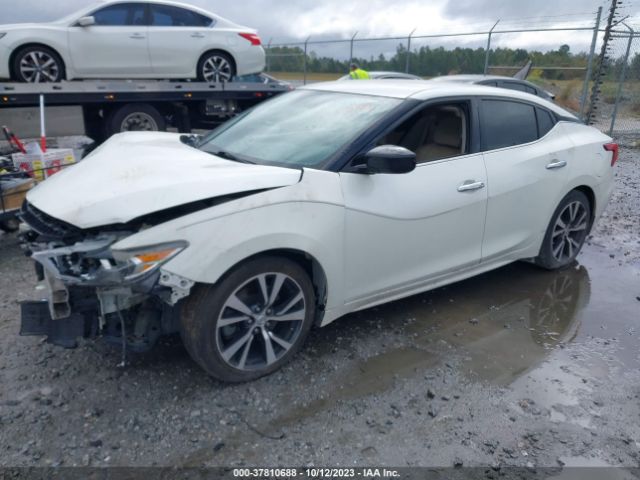 Photo 1 VIN: 1N4AA6AP2HC420102 - NISSAN MAXIMA 