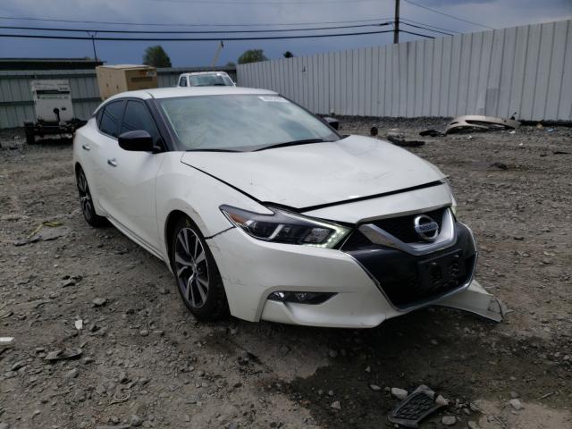 Photo 0 VIN: 1N4AA6AP2HC429379 - NISSAN MAXIMA 3.5 