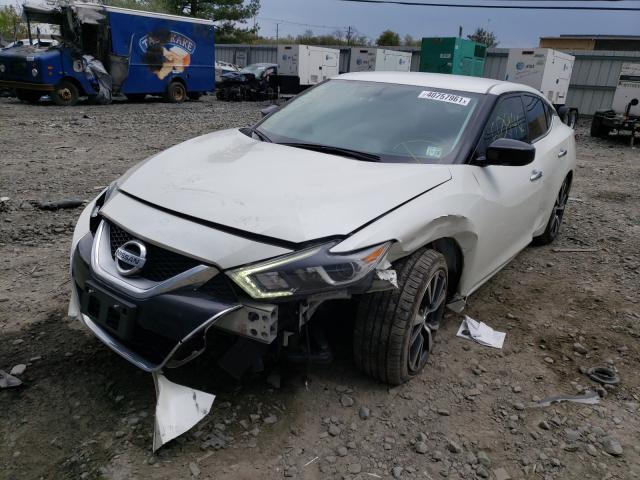 Photo 1 VIN: 1N4AA6AP2HC429379 - NISSAN MAXIMA 3.5 