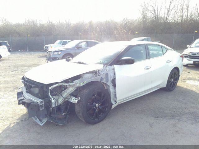 Photo 1 VIN: 1N4AA6AP2HC445016 - NISSAN MAXIMA 