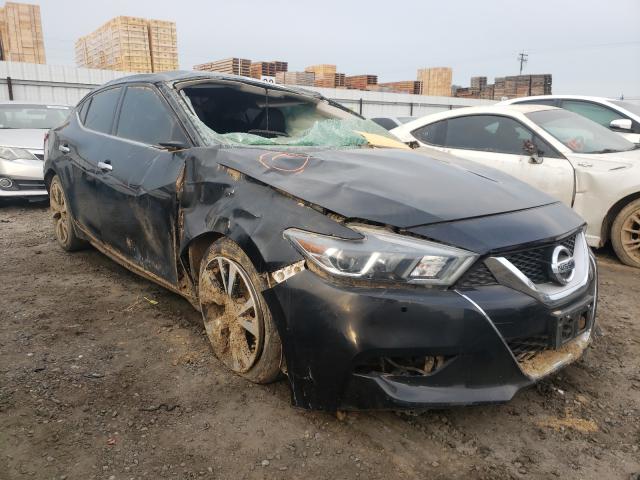 Photo 0 VIN: 1N4AA6AP2HC446537 - NISSAN MAXIMA 3.5 