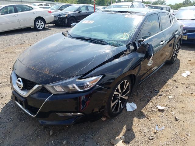 Photo 1 VIN: 1N4AA6AP2HC451429 - NISSAN MAXIMA 3.5 