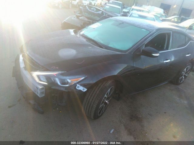 Photo 1 VIN: 1N4AA6AP2JC361350 - NISSAN MAXIMA 