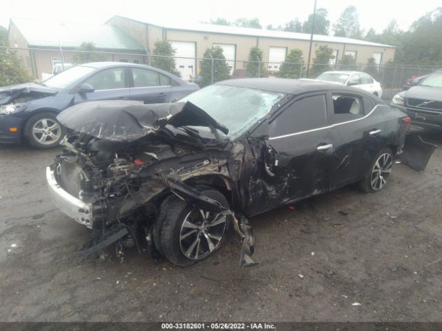 Photo 1 VIN: 1N4AA6AP2JC368251 - NISSAN MAXIMA 