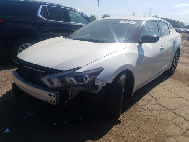 Photo 1 VIN: 1N4AA6AP2JC372767 - NISSAN MAXIMA 3.5 