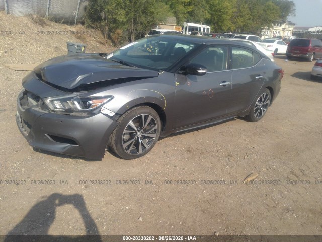 Photo 1 VIN: 1N4AA6AP2JC385289 - NISSAN MAXIMA 