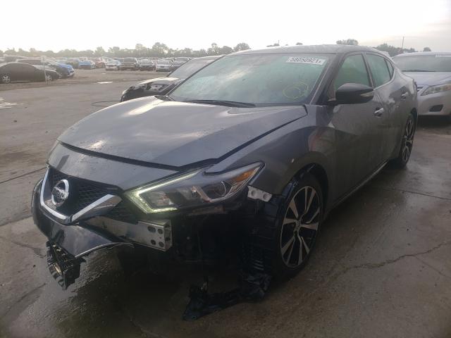 Photo 1 VIN: 1N4AA6AP2JC385907 - NISSAN MAXIMA 3.5 