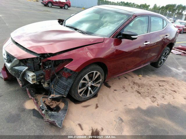 Photo 1 VIN: 1N4AA6AP3GC378070 - NISSAN MAXIMA 