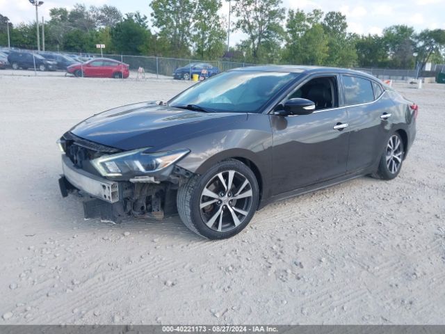 Photo 1 VIN: 1N4AA6AP3GC385729 - NISSAN MAXIMA 