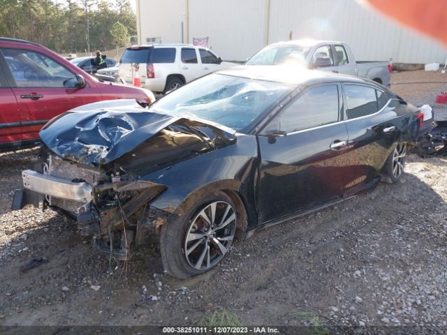 Photo 1 VIN: 1N4AA6AP3GC391613 - NISSAN MAXIMA 