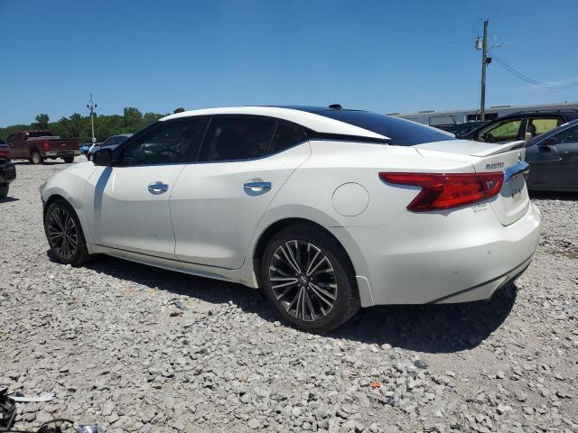 Photo 1 VIN: 1N4AA6AP3GC418955 - NISSAN MAXIMA 