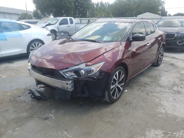 Photo 1 VIN: 1N4AA6AP3GC423346 - NISSAN MAXIMA 3.5 