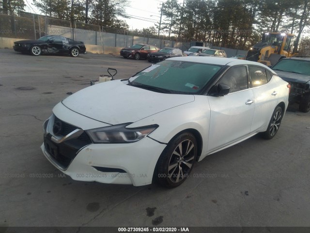 Photo 1 VIN: 1N4AA6AP3GC425906 - NISSAN MAXIMA 