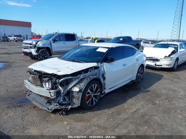 Photo 1 VIN: 1N4AA6AP3GC430247 - NISSAN MAXIMA 