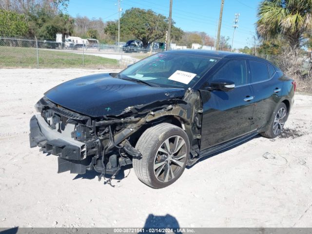 Photo 1 VIN: 1N4AA6AP3GC435030 - NISSAN MAXIMA 