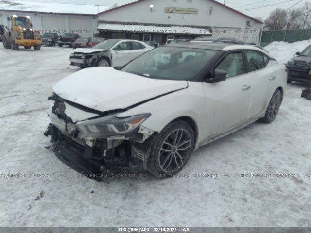 Photo 1 VIN: 1N4AA6AP3GC437490 - NISSAN MAXIMA 