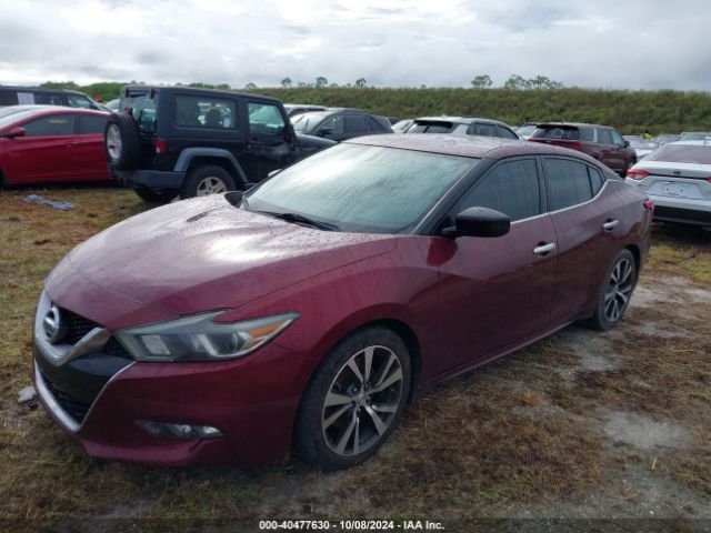 Photo 1 VIN: 1N4AA6AP3HC365823 - NISSAN MAXIMA 