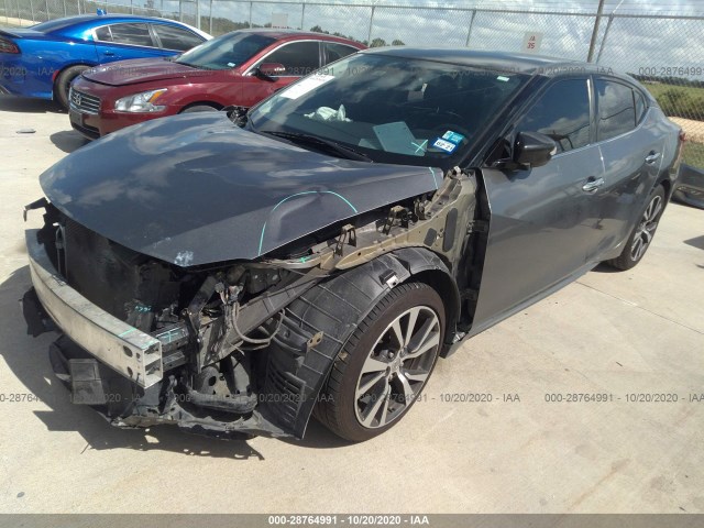 Photo 1 VIN: 1N4AA6AP3HC373968 - NISSAN MAXIMA 