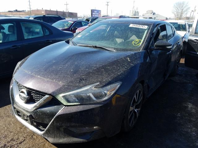 Photo 1 VIN: 1N4AA6AP3HC400053 - NISSAN MAXIMA 3.5 