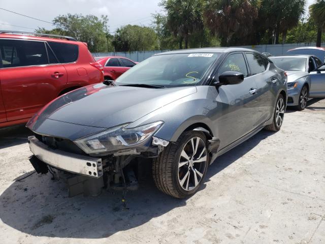 Photo 1 VIN: 1N4AA6AP3HC443548 - NISSAN MAXIMA 3.5 