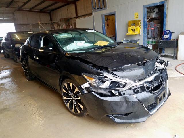 Photo 0 VIN: 1N4AA6AP3HC453450 - NISSAN MAXIMA 3.5 