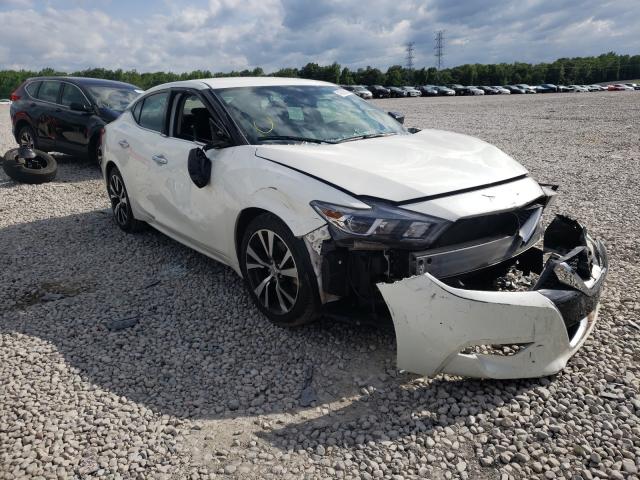 Photo 0 VIN: 1N4AA6AP3HC455005 - NISSAN MAXIMA 3.5 