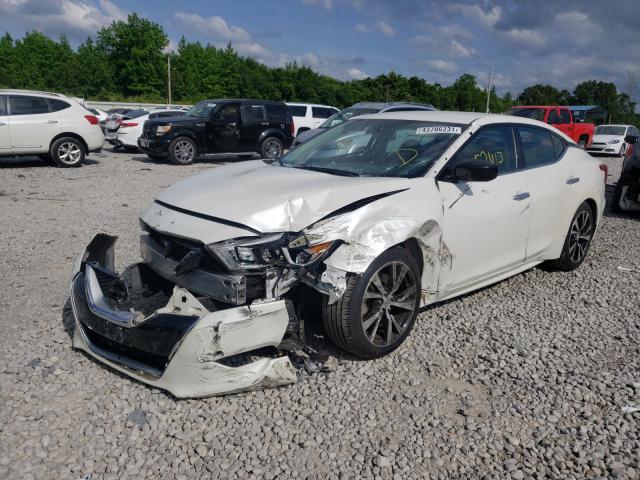 Photo 1 VIN: 1N4AA6AP3HC455005 - NISSAN MAXIMA 3.5 