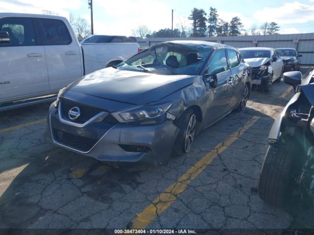 Photo 1 VIN: 1N4AA6AP3JC401287 - NISSAN MAXIMA 