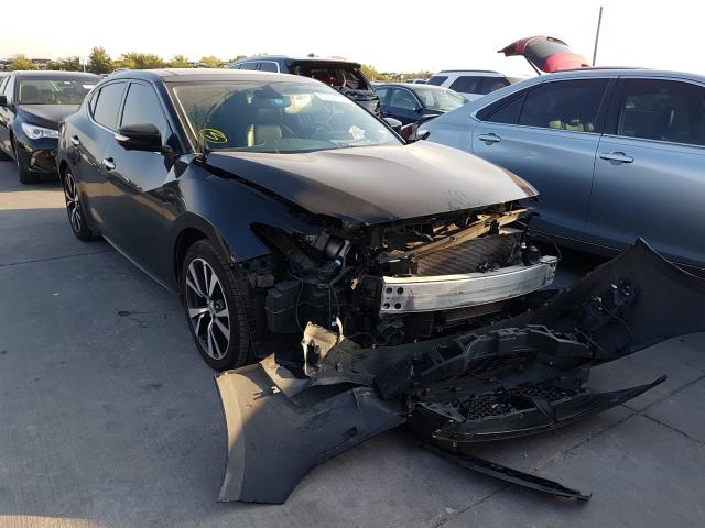 Photo 0 VIN: 1N4AA6AP4GC390566 - NISSAN MAXIMA 3.5 