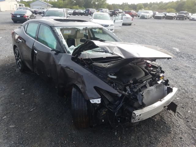 Photo 0 VIN: 1N4AA6AP4GC401100 - NISSAN MAXIMA 3.5 