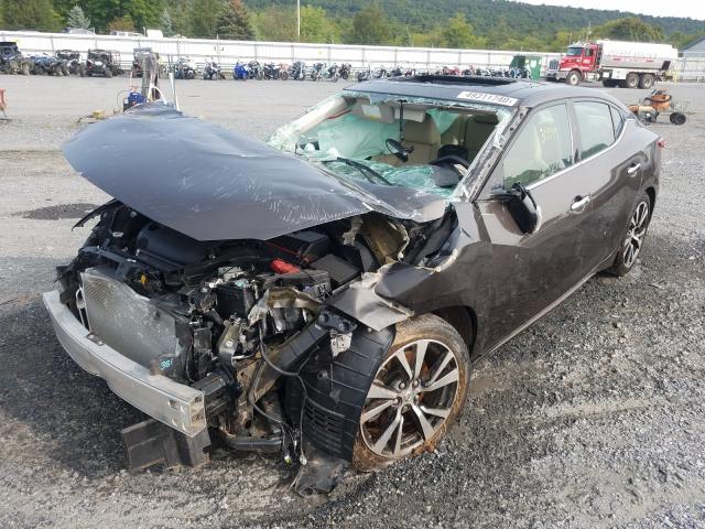 Photo 1 VIN: 1N4AA6AP4GC401100 - NISSAN MAXIMA 3.5 