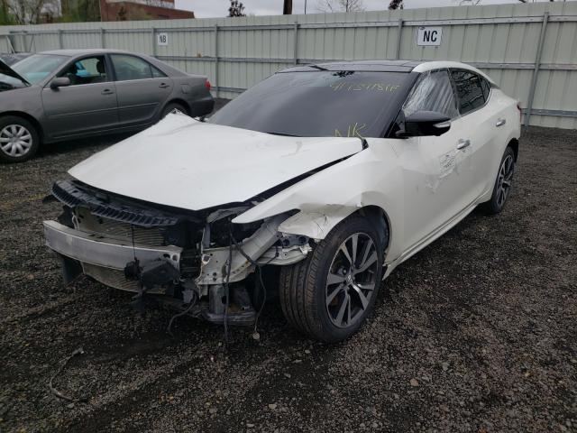 Photo 1 VIN: 1N4AA6AP4GC408449 - NISSAN MAXIMA 3.5 