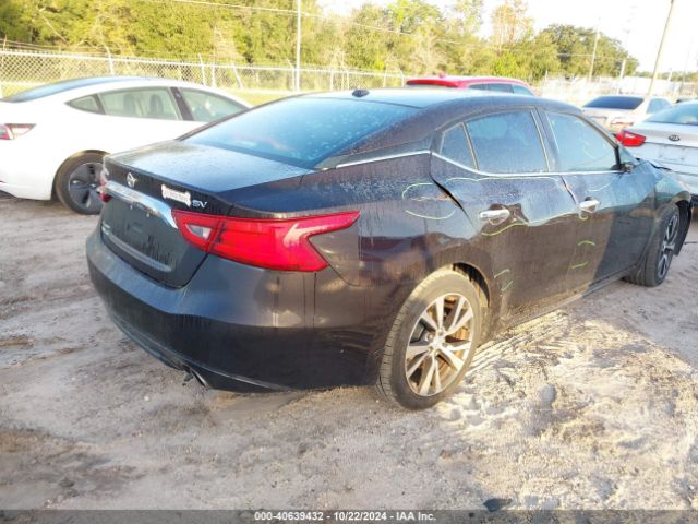 Photo 3 VIN: 1N4AA6AP4GC411433 - NISSAN MAXIMA 