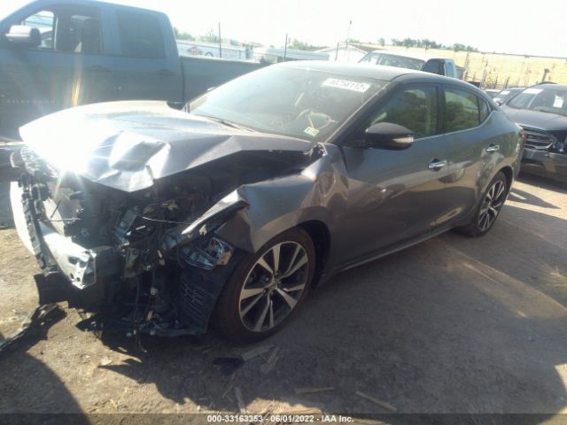 Photo 1 VIN: 1N4AA6AP4GC412260 - NISSAN MAXIMA 